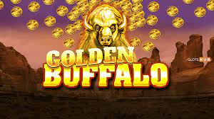 buffalo gold